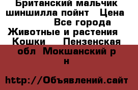 Британский мальчик шиншилла-пойнт › Цена ­ 5 000 - Все города Животные и растения » Кошки   . Пензенская обл.,Мокшанский р-н